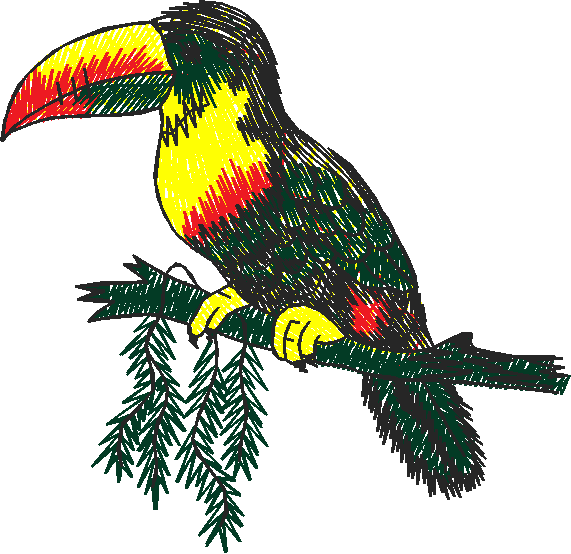 Birds 19 (19)