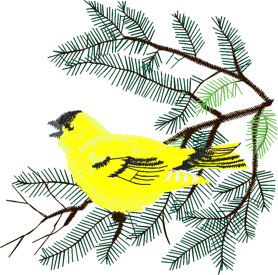 Birds 19 (31)