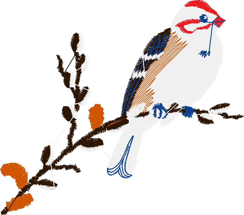 Birds 19 (33)