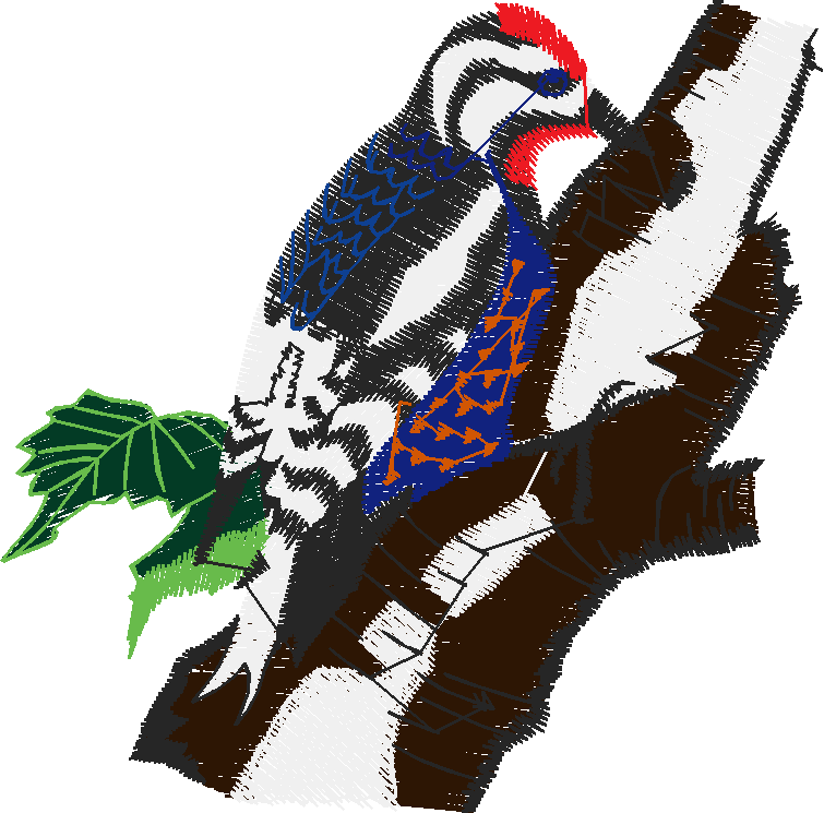 Birds 19 (48)