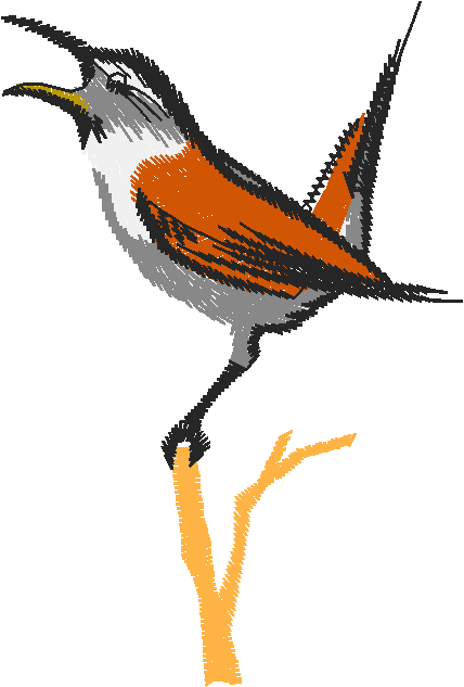 Birds 19 (59)