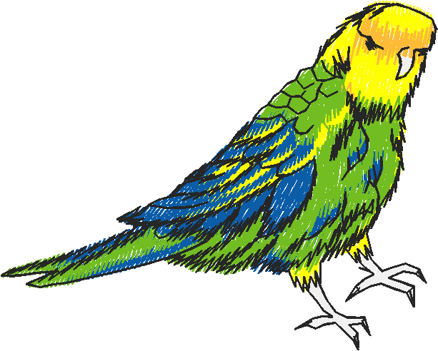 Birds 19 (69)