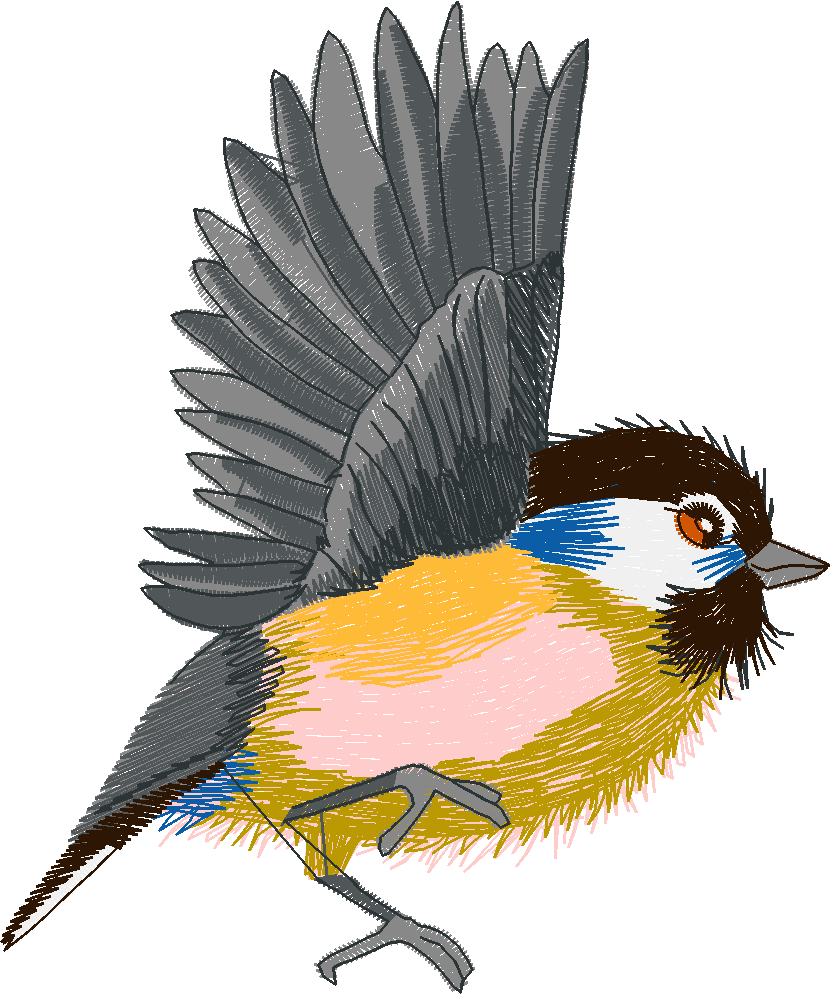 Birds 19 (7)