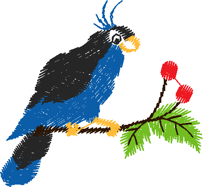 Birds 20 (16)