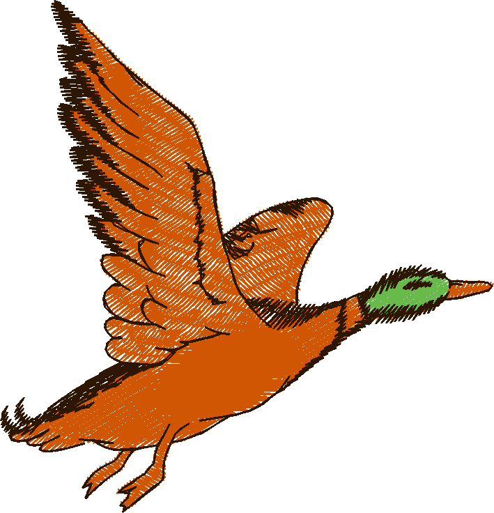 Birds 20 (3)