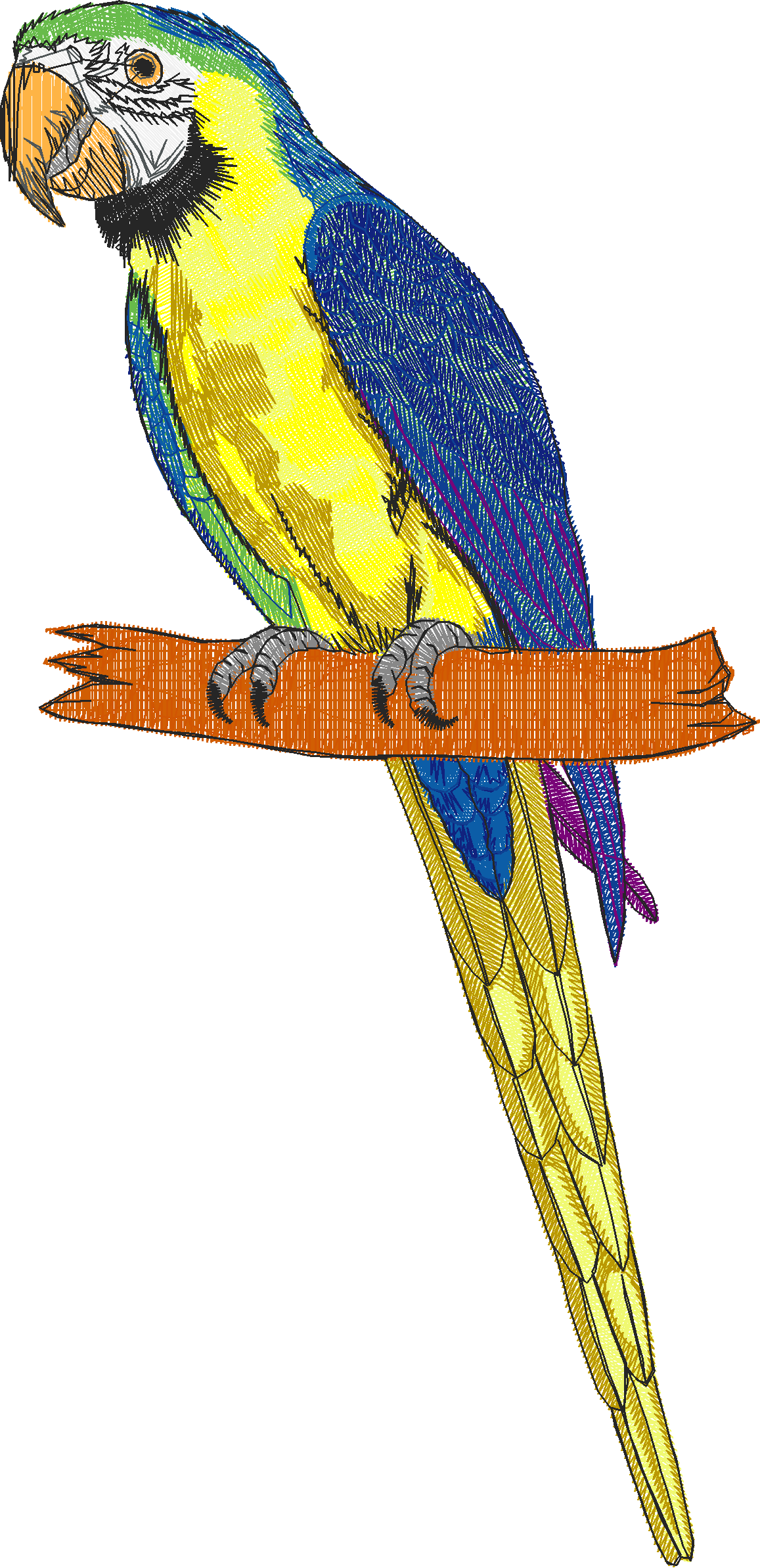 Birds 20 (30)