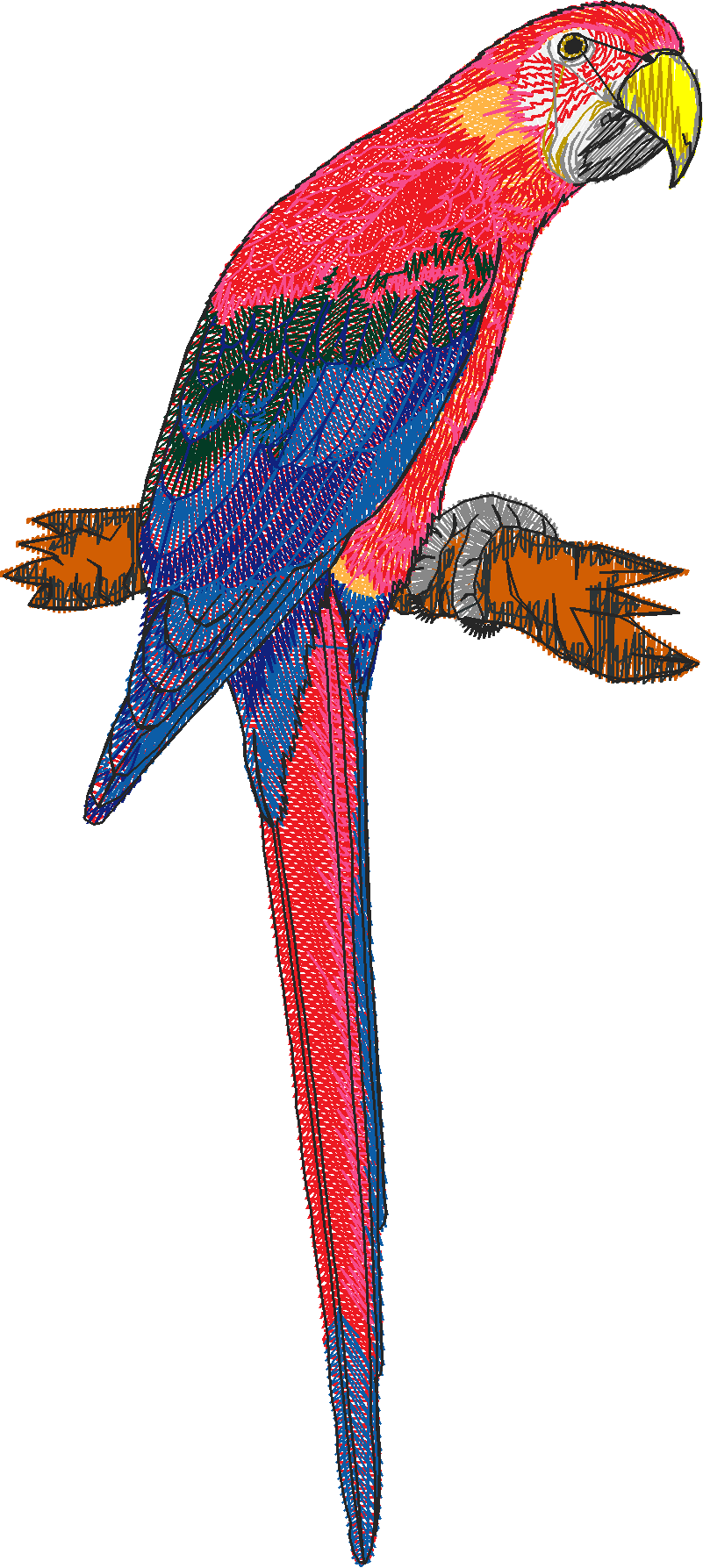 Birds 20 (34)