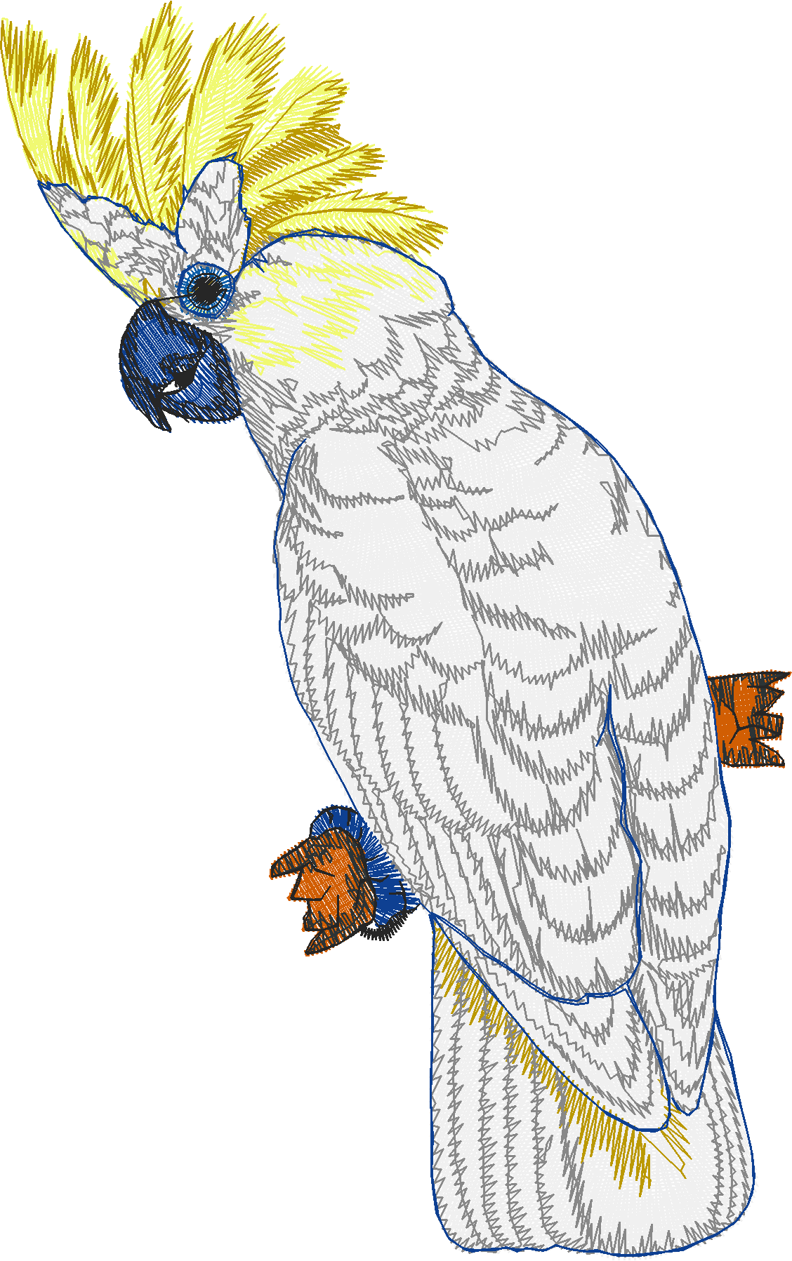 Birds 20 (36)