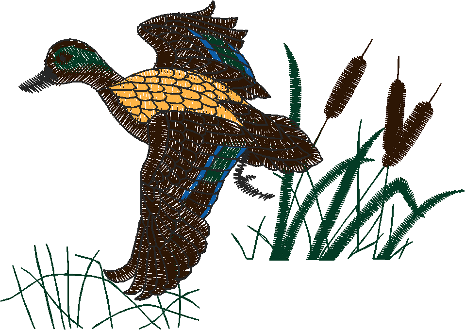 Birds 20 (44)