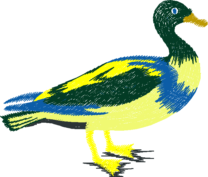 Birds 20 (5)