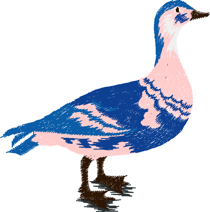 Birds 20 (6)