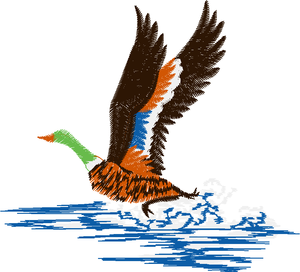 Birds 20 (7)