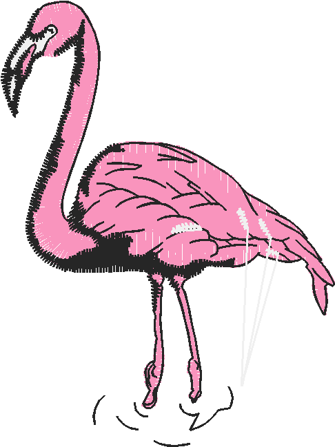 Birds 20 (82)