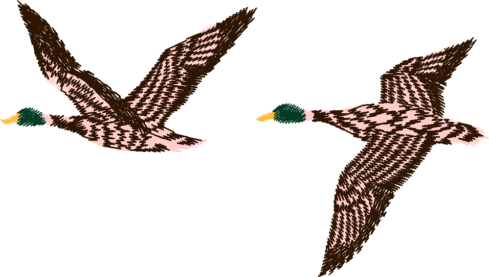 Birds 20 (9)
