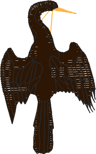 Birds 21 (2)