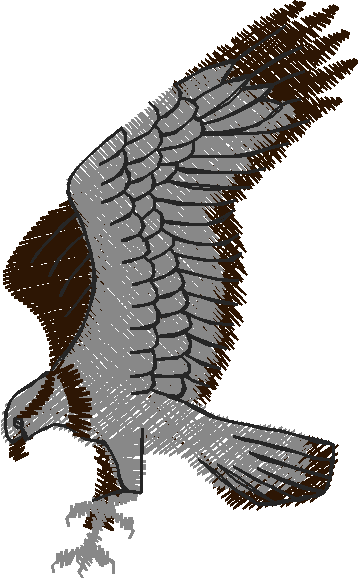 Birds 21 (31)
