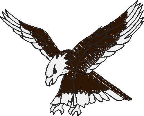 Birds 21 (33)