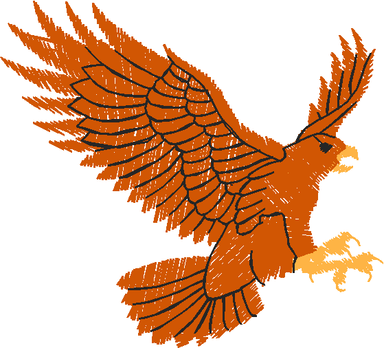 Birds 21 (34)