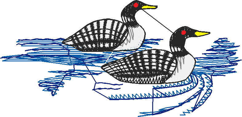 Birds 21 (67)