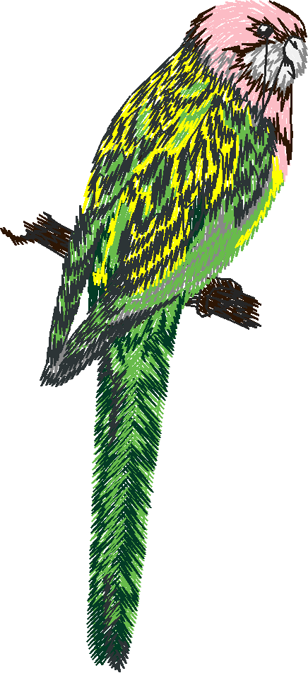 Birds 22 (63)