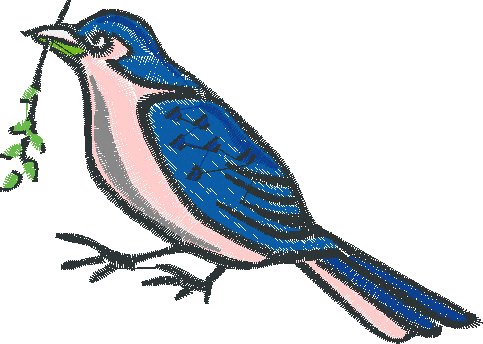Birds 23  (2)