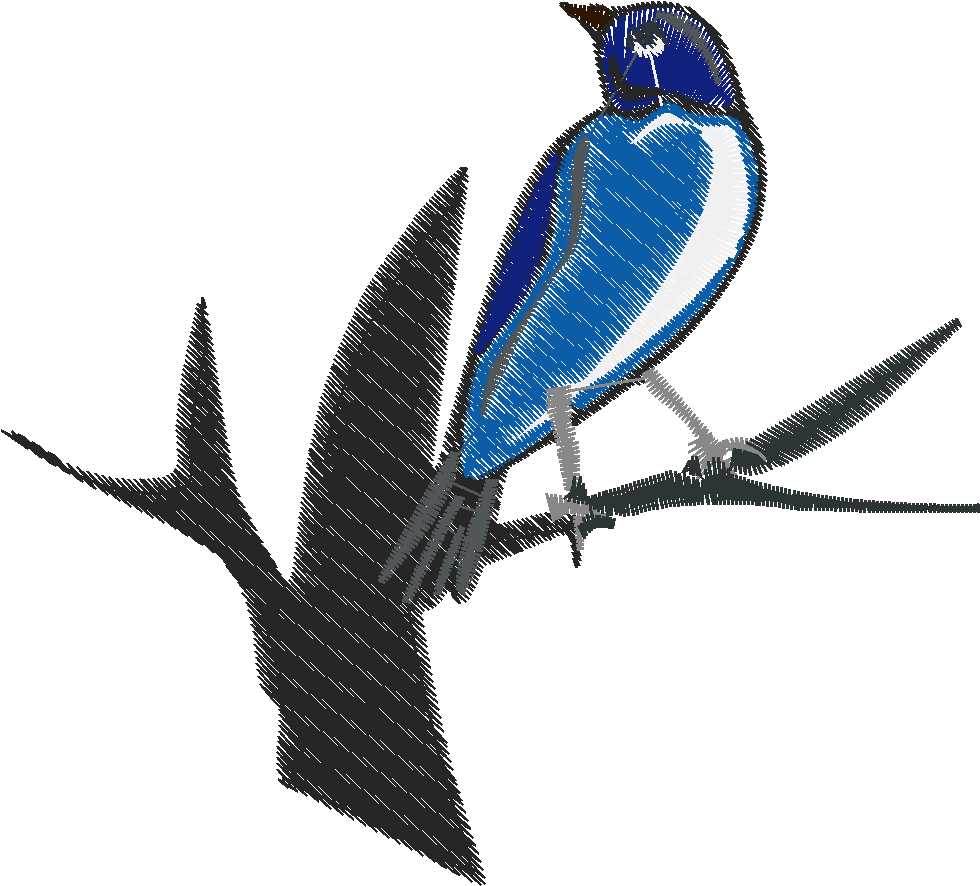 Birds 23  (5)