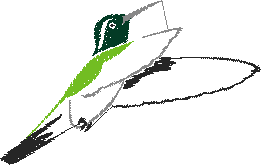 Birds 3 (8)