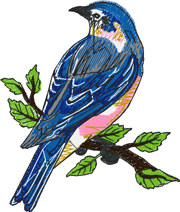Birds 5 (10)