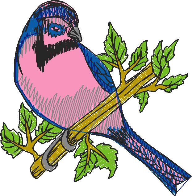 Birds 5 (6)