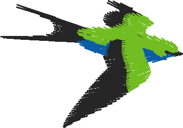Birds 8 (21)