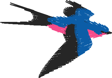 Birds 8 (22)