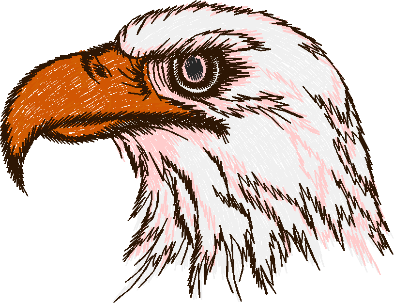 Birds 9 (11)