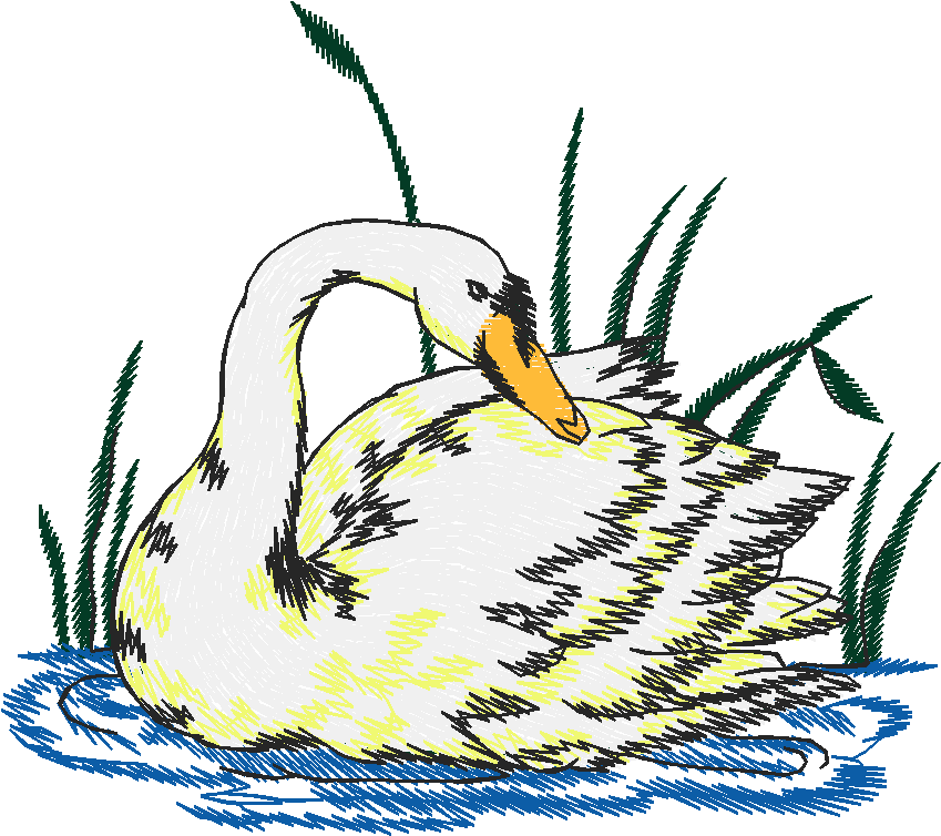 Birds 9 (12)