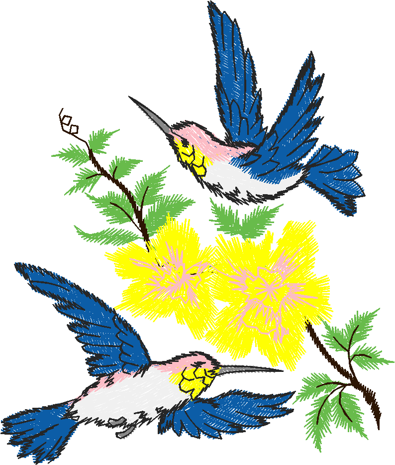 Birds 9 (2)