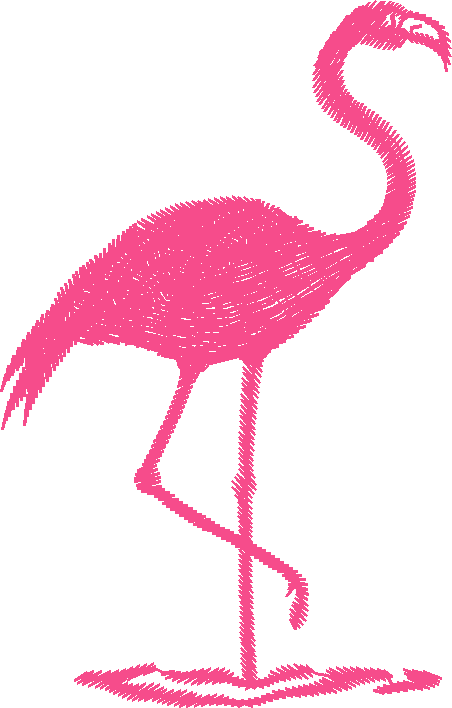 Birds 9 (21)