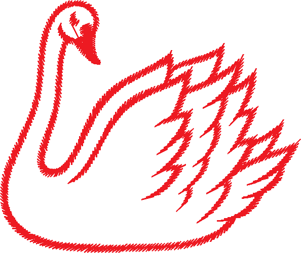 Birds 9 (23)