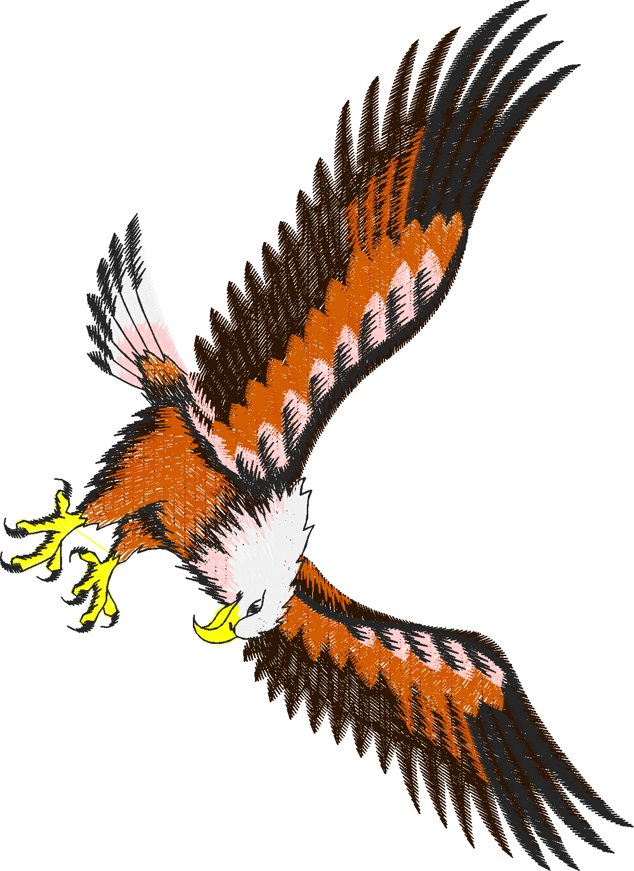 Birds 9 (25)