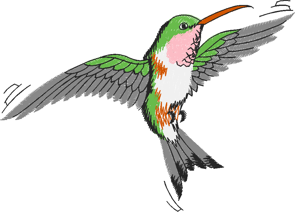 Birds 9 (6)