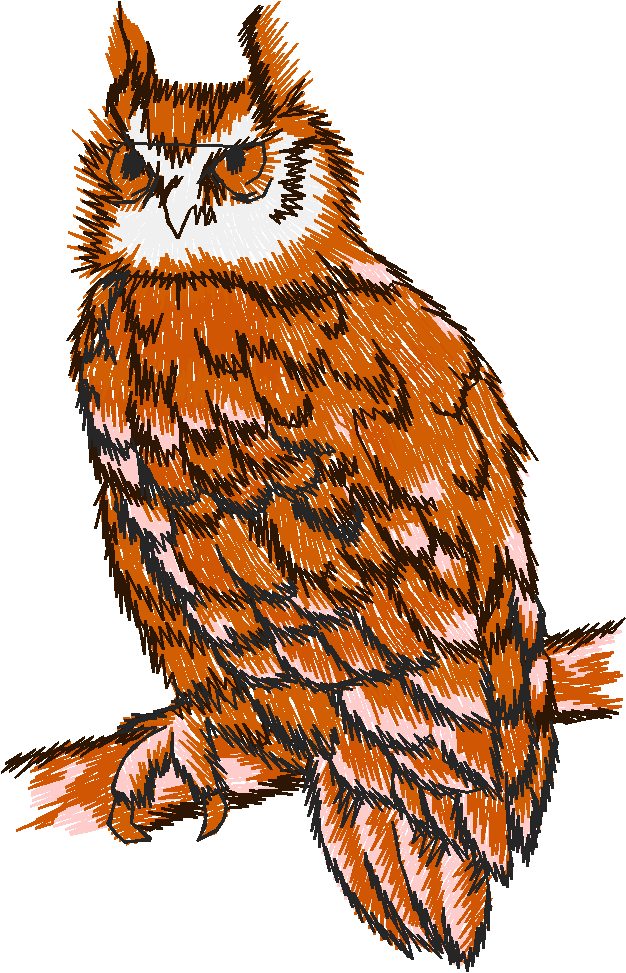 Birds 9 (9)