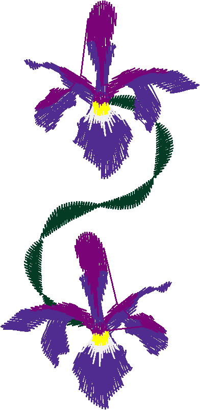 Borders 13 (4)
