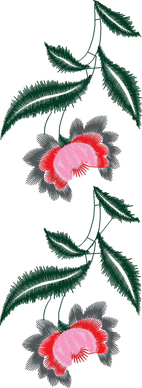 Borders 16 (5)