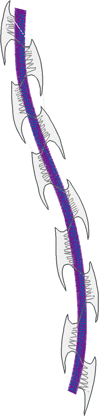 Borders 20 (14)