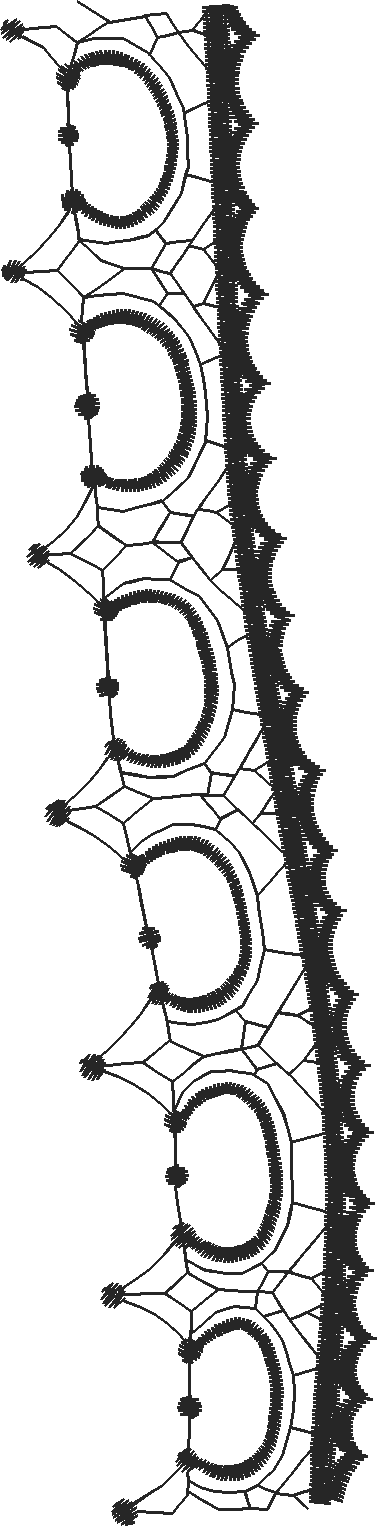 Borders 20 (16)