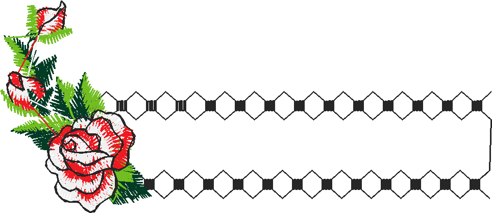 Borders 23 (3)