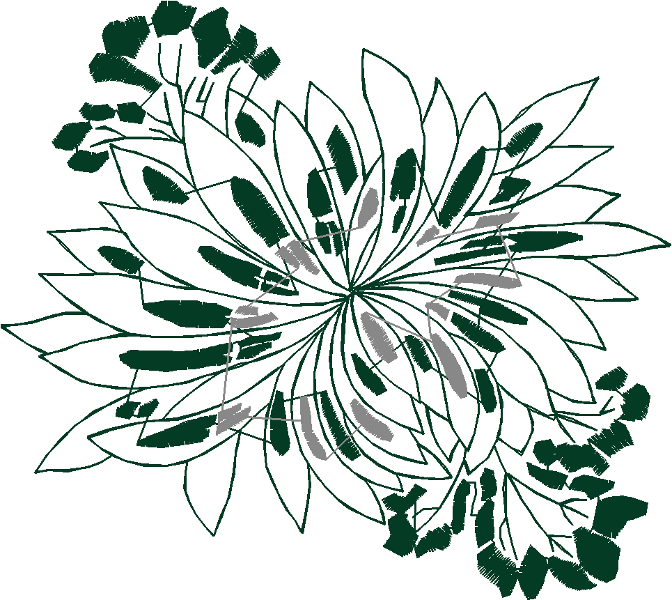 Borders 25 (18)