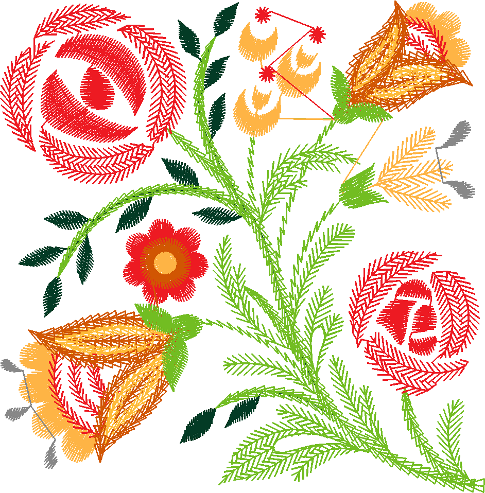 Borders 25 (50)