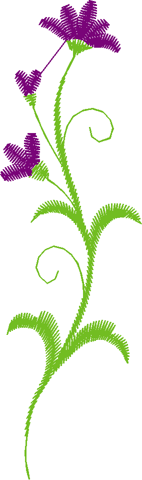 Borders 25 (68)