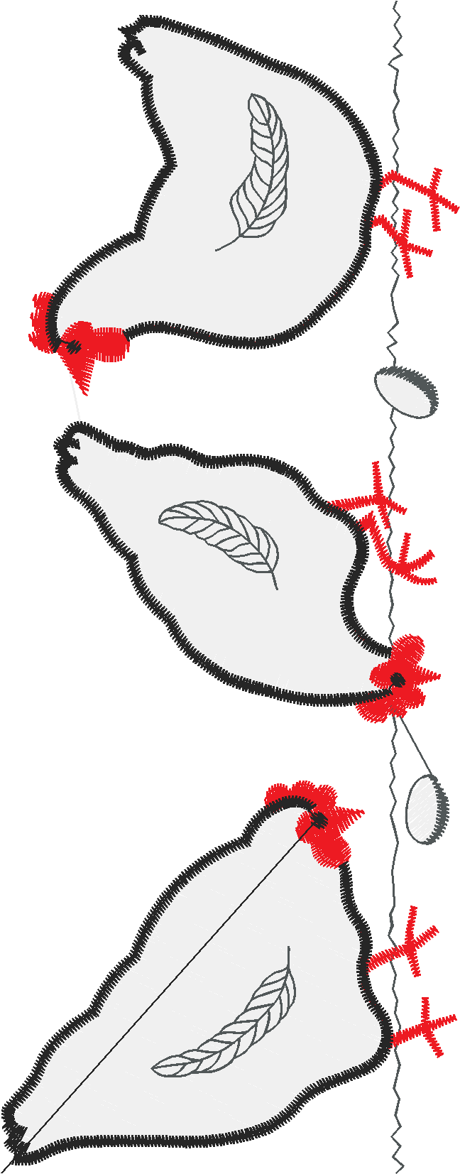 Borders 25 (92)