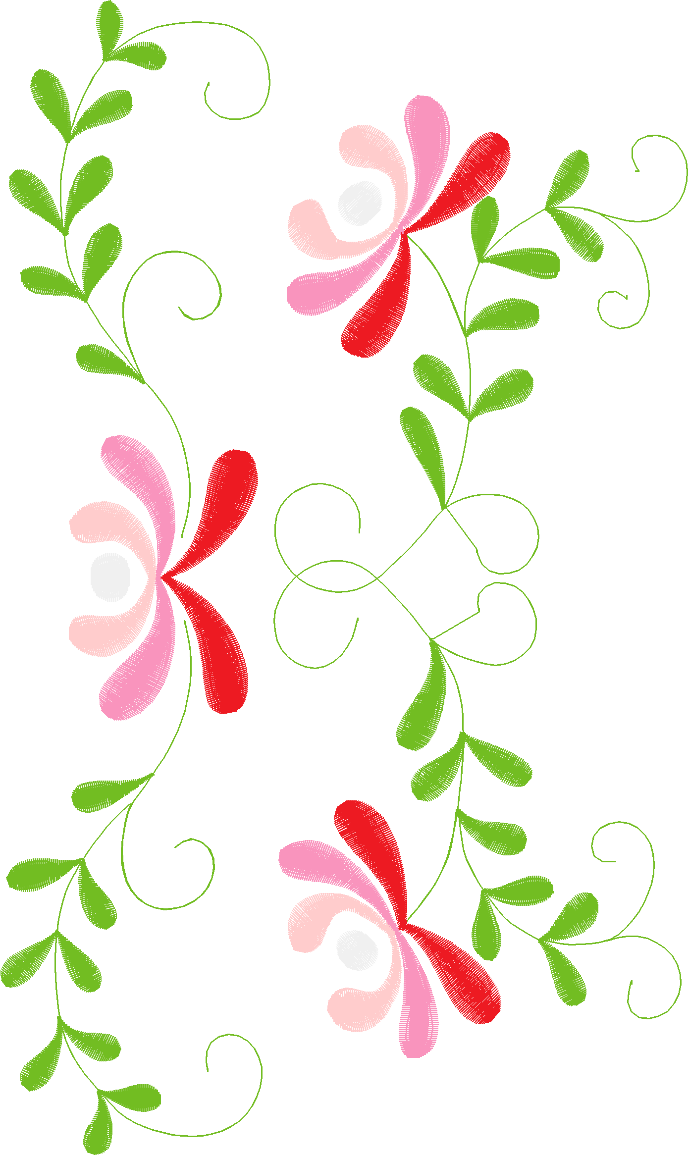 Borders 26 (41)