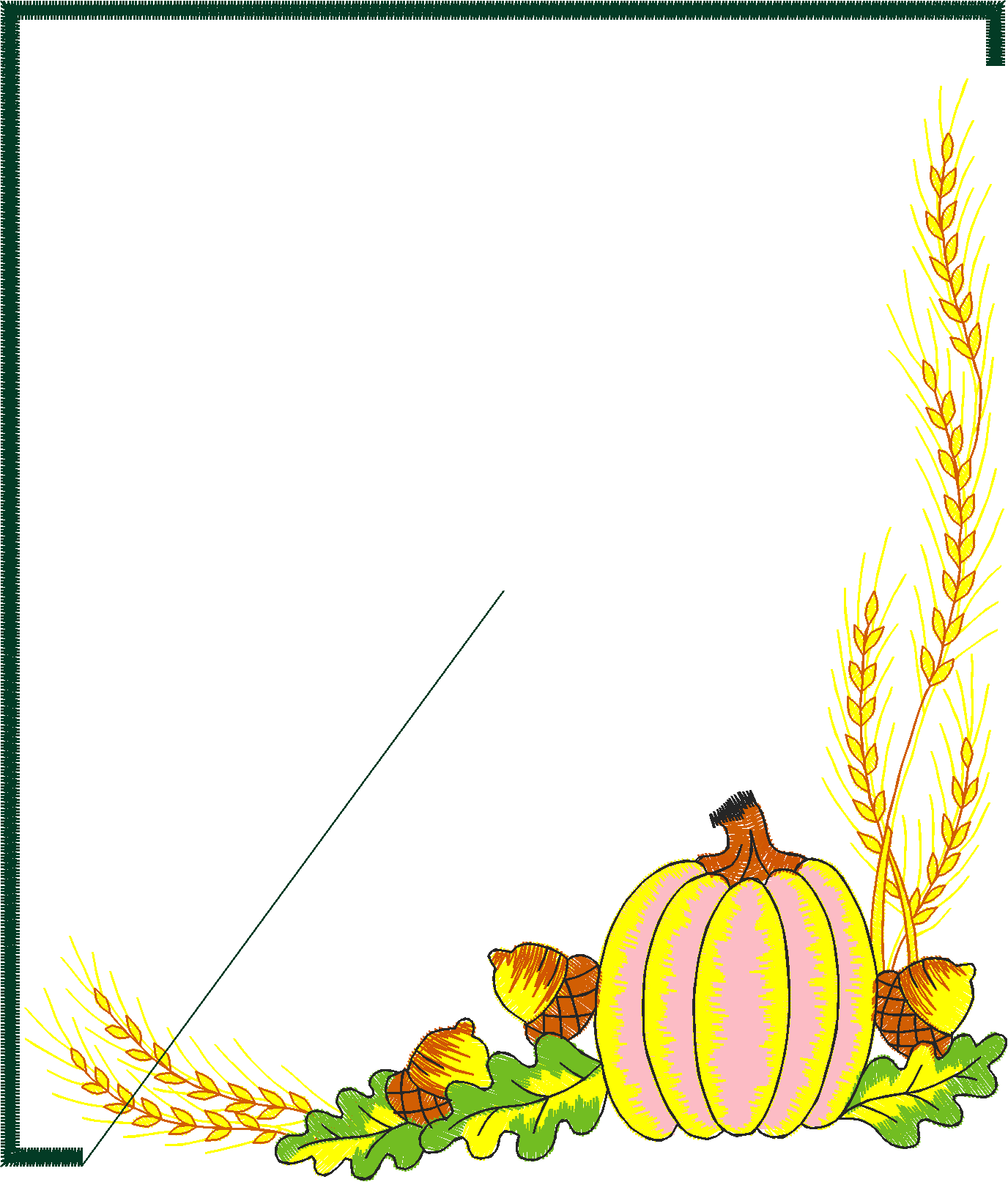 Borders 26 (57)